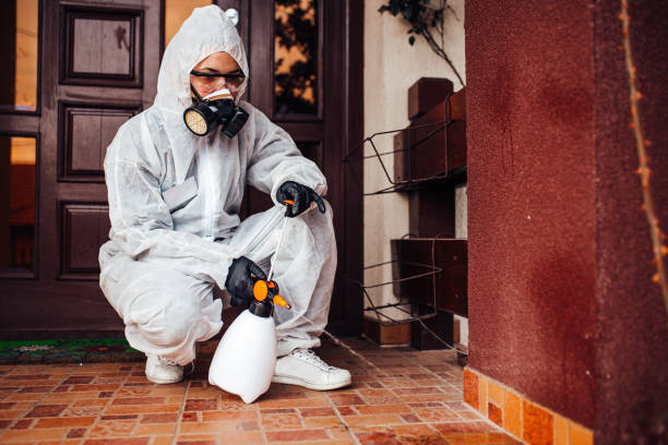 Attic and Crawl Space Rodent Treatment in Pojoaque
