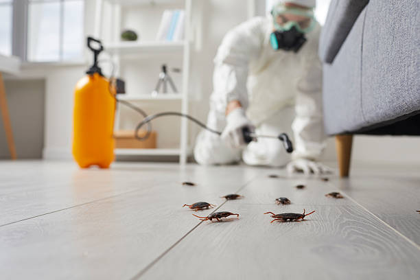 Commercial Rodent Management in Pojoaque